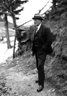 Kritische Robert Walser-Ausgabe